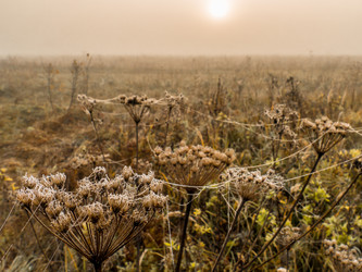 Similar image 21247845