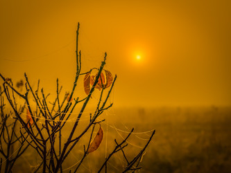 Similar image 21247846