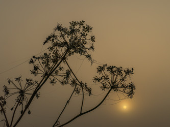 Similar image 21247847