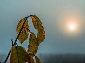 Similar image 21247848