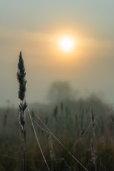 Similar image 21247851