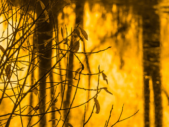 Similar image 21247854