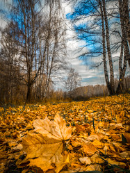 Similar image 21247855