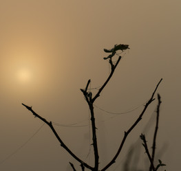 Similar image 21247856