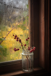 Similar image 21247859