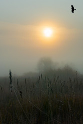 Similar image 21247861