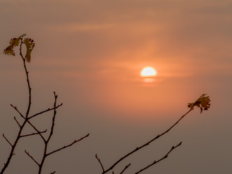 Similar image 21247864