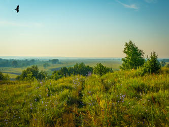 Similar image 21247866