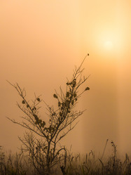 Similar image 21247867