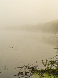 Similar image 21247869