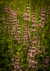 Similar image 21247871