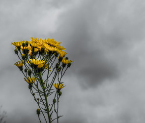 Similar image 21247876