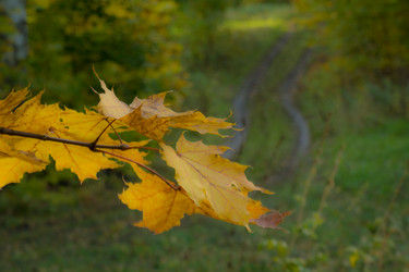 Similar image 21247877