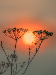 Similar image 21247880