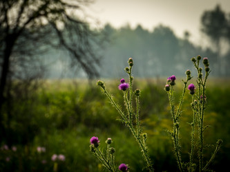 Similar image 21247882