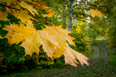 Similar image 21206632