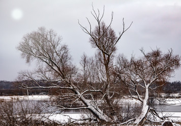 Similar image 21221329