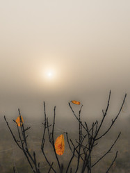 Similar image 21221331