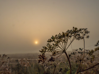 Similar image 21221332