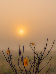 Similar image 21221333