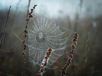 Similar image 21221337