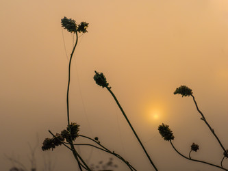 Similar image 21221367