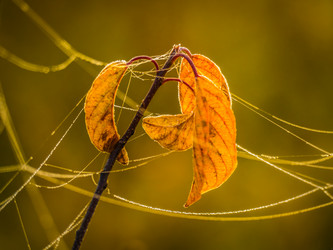 Similar image 21221380