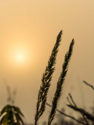 Similar image 21221381