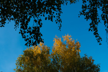 Similar image 21221386