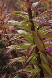 Similar image 21234735