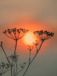 Similar image 21234739