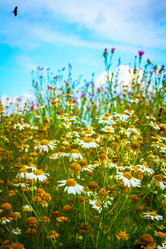 Similar image 21234741