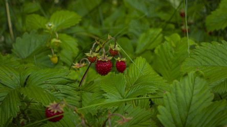 Similar image 21234743