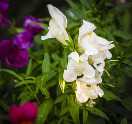 Similar image 21234744