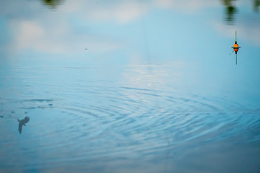 Similar image 21234745