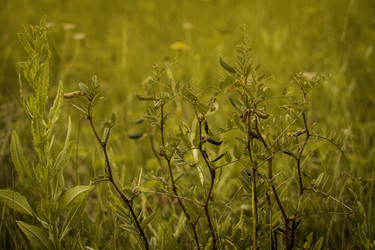 Similar image 21234757