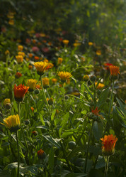 Similar image 21234758