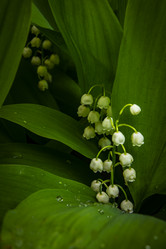 Similar image 21234765