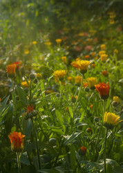 Similar image 21234766