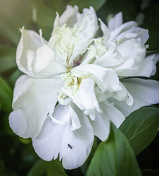 Similar image 21234767