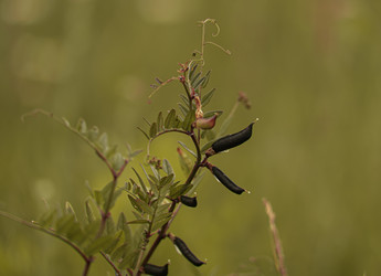 Similar image 21234771