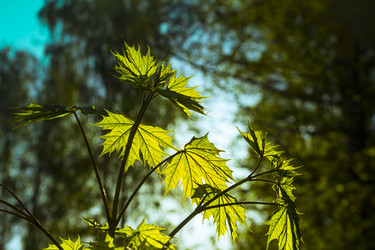 Similar image 21234772