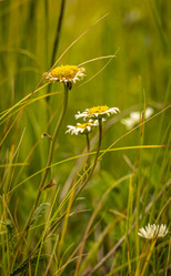 Similar image 21234778