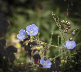 Similar image 21234779