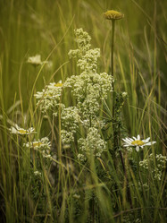 Similar image 21245045