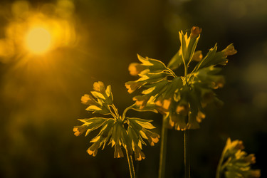 Similar image 21245046