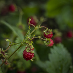 Similar image 21245047