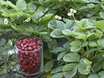 Similar image 21245049