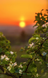 Similar image 21245050