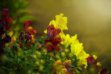 Similar image 21245054